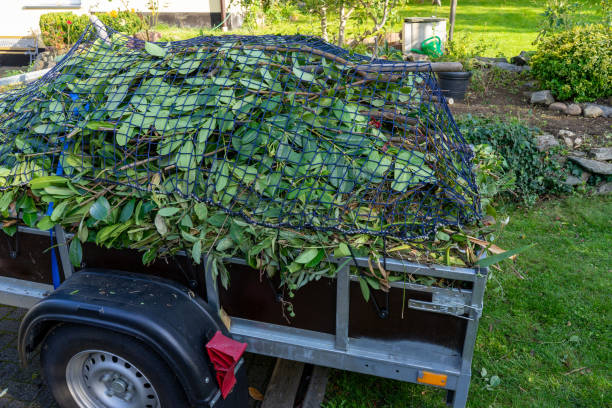 Best Carpet Removal and Disposal  in Tea, SD